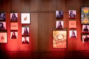 Aparajita 2017 ceremony
